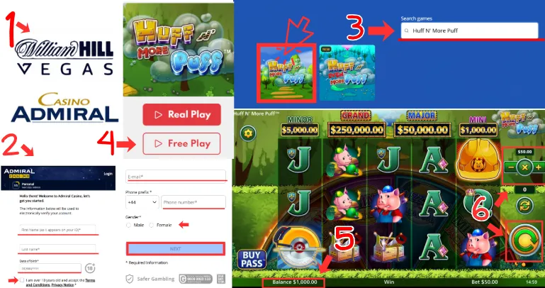 Playing in demo mode